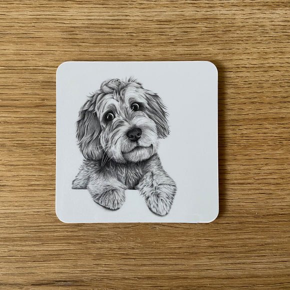 Coaster - Cooper Cockapoo - RUTHERFORD & Co