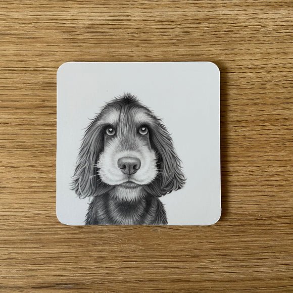 Coaster - Sonny Spaniel - RUTHERFORD & Co