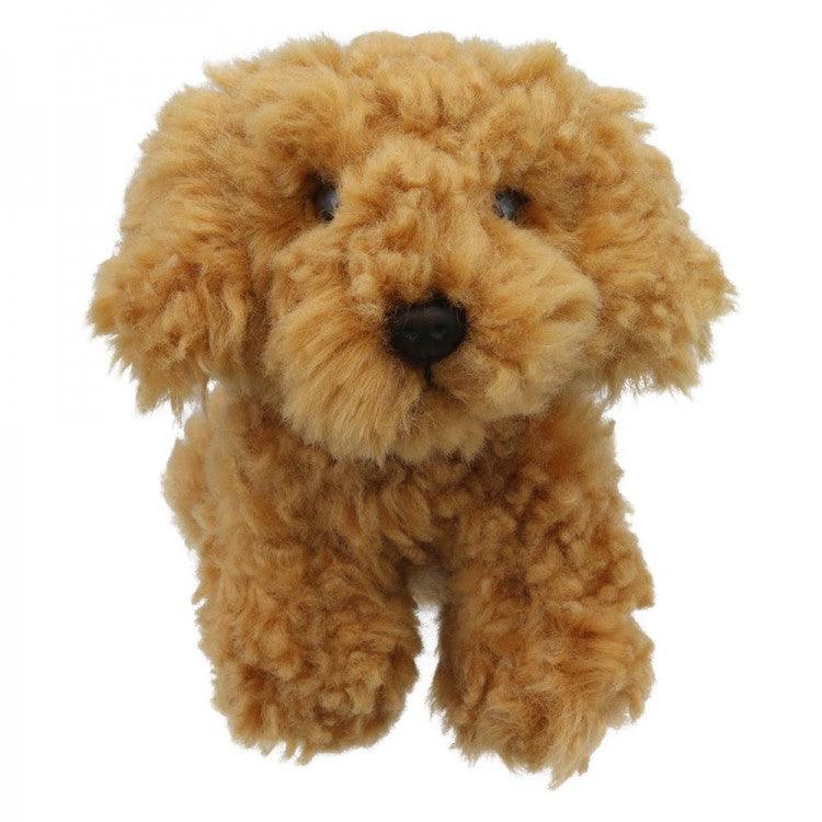 Cockapoo - Wilberry Minis - RUTHERFORD & Co