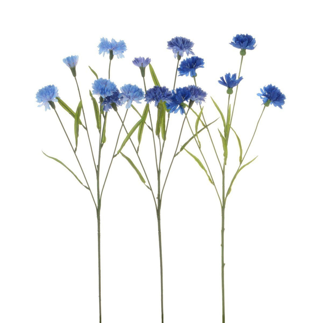 Cornflower Spray/Blues - RUTHERFORD & Co