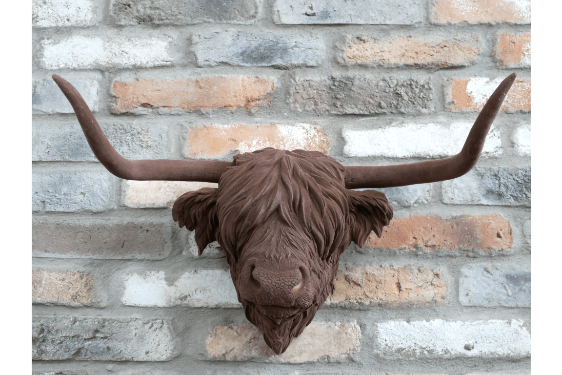 Cow Head - RUTHERFORD & Co