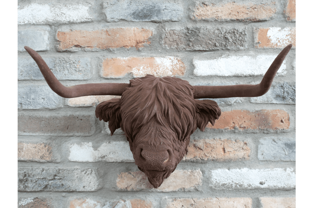 Cow Head - RUTHERFORD & Co