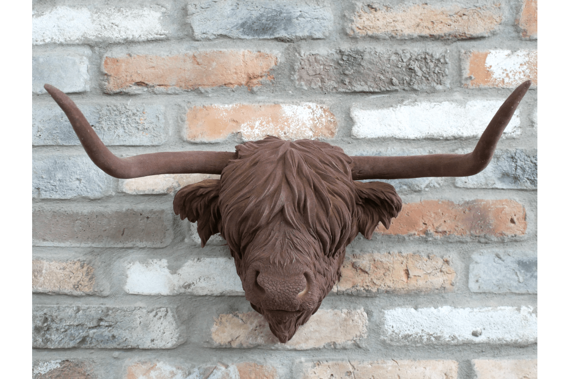 Cow Head - RUTHERFORD & Co