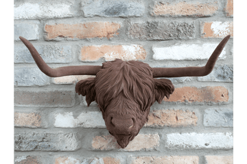 Cow Head - RUTHERFORD & Co