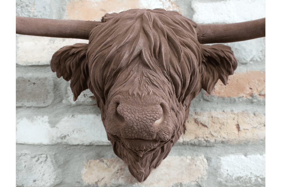 Cow Head - RUTHERFORD & Co