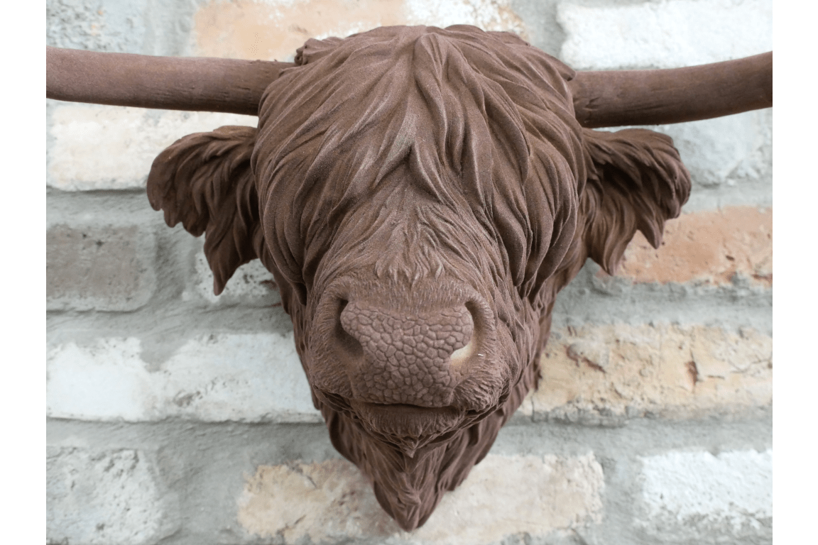Cow Head - RUTHERFORD & Co