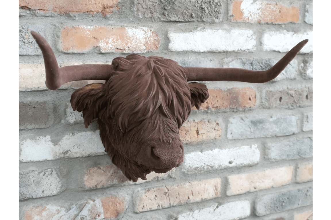 Cow Head - RUTHERFORD & Co