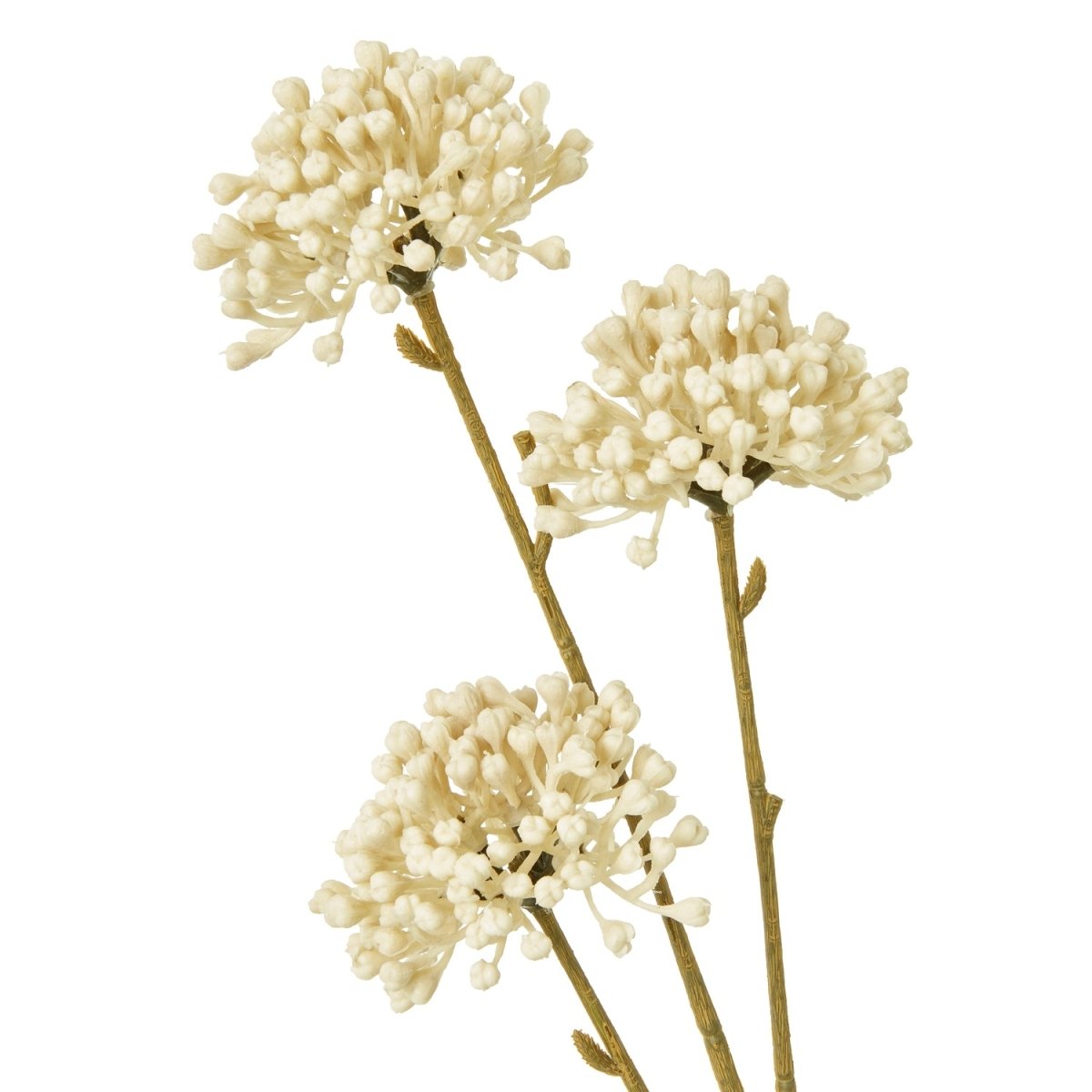 Cream Allium Spray - RUTHERFORD & Co