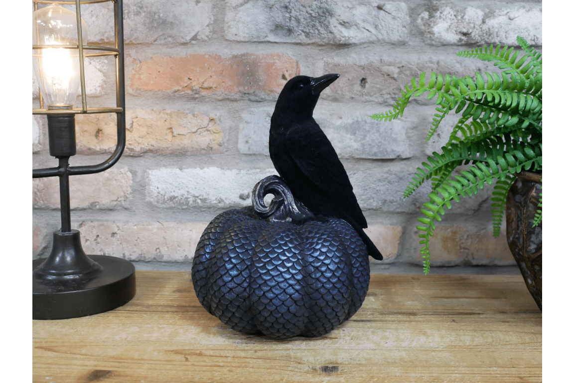 Crow On Pumpkin - RUTHERFORD & Co