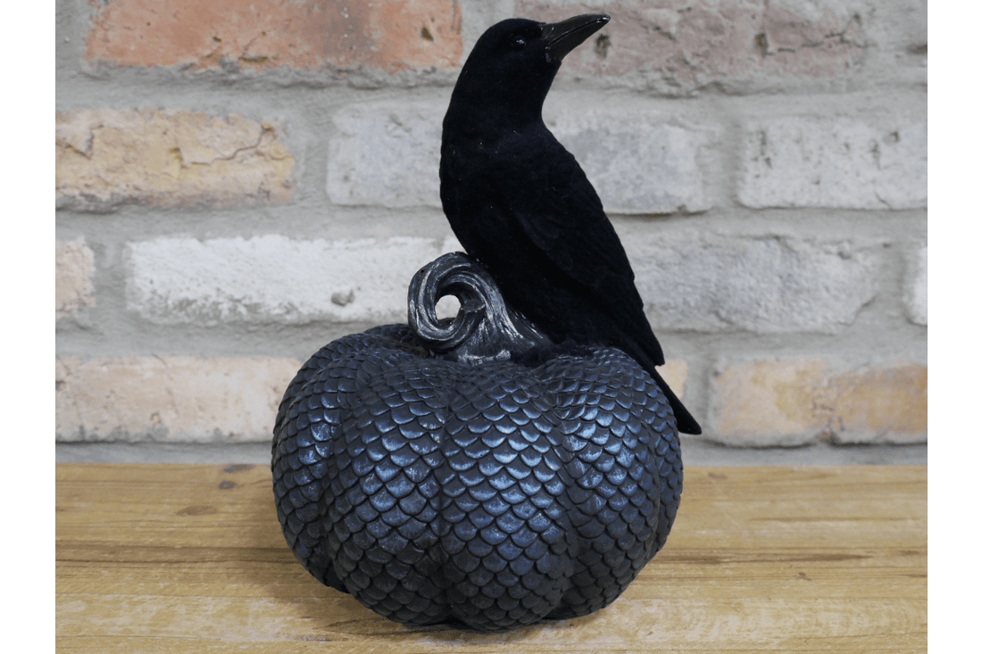 Crow On Pumpkin - RUTHERFORD & Co