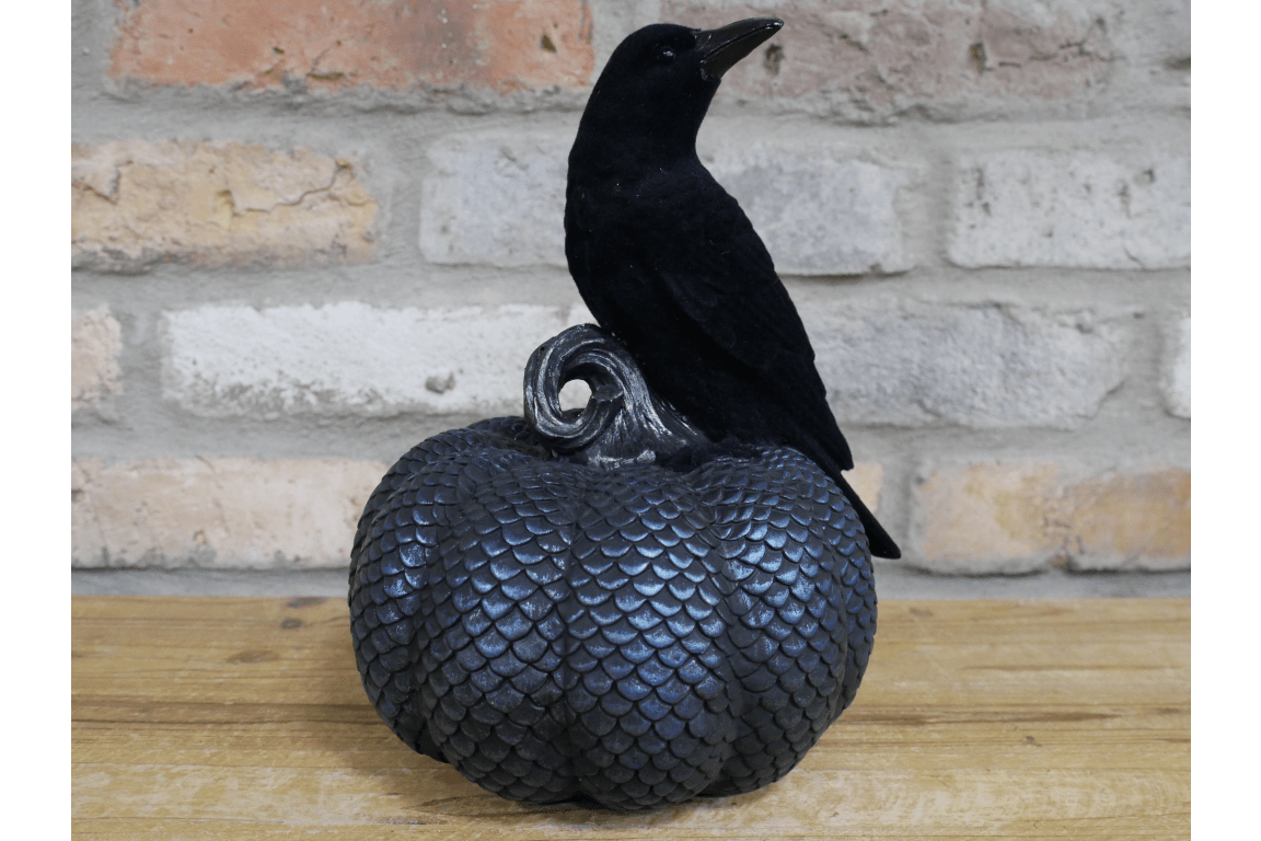 Crow On Pumpkin - RUTHERFORD & Co