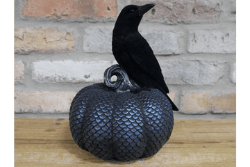 Crow On Pumpkin - RUTHERFORD & Co