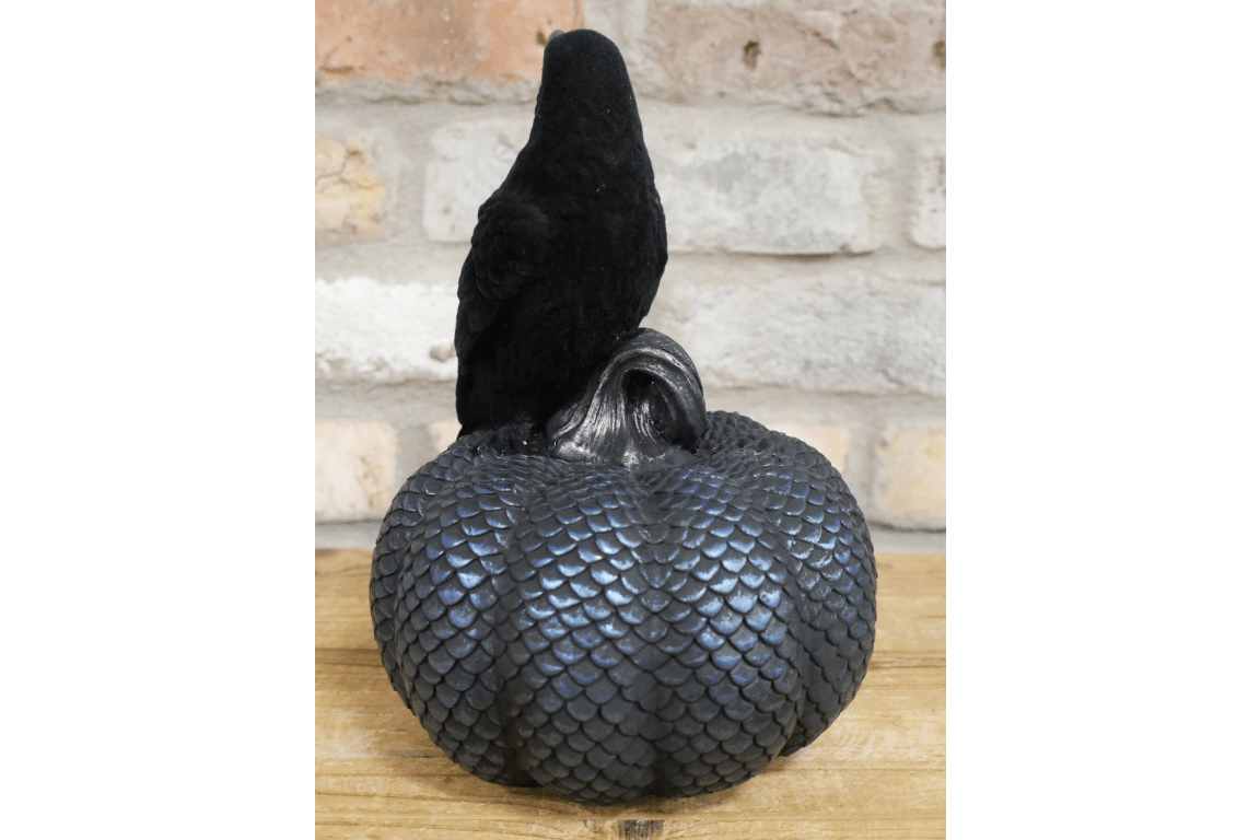 Crow On Pumpkin - RUTHERFORD & Co