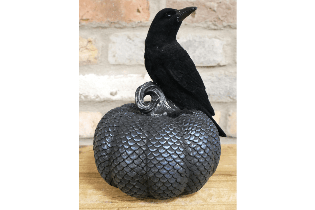 Crow On Pumpkin - RUTHERFORD & Co