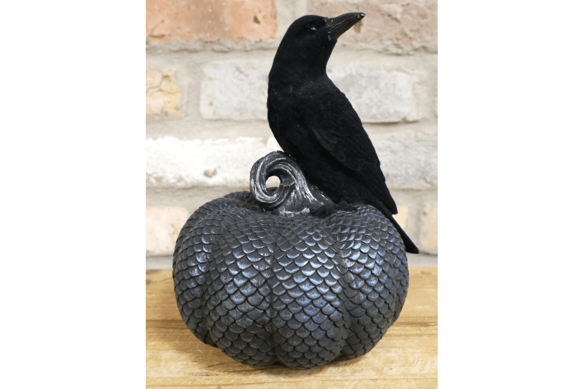 Crow On Pumpkin - RUTHERFORD & Co