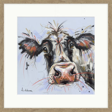 Curious Cow - PF11 - RUTHERFORD & Co