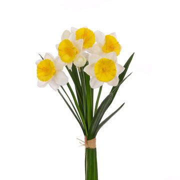 Daffodil Bunch 38cm/White Yellow - RUTHERFORD & Co