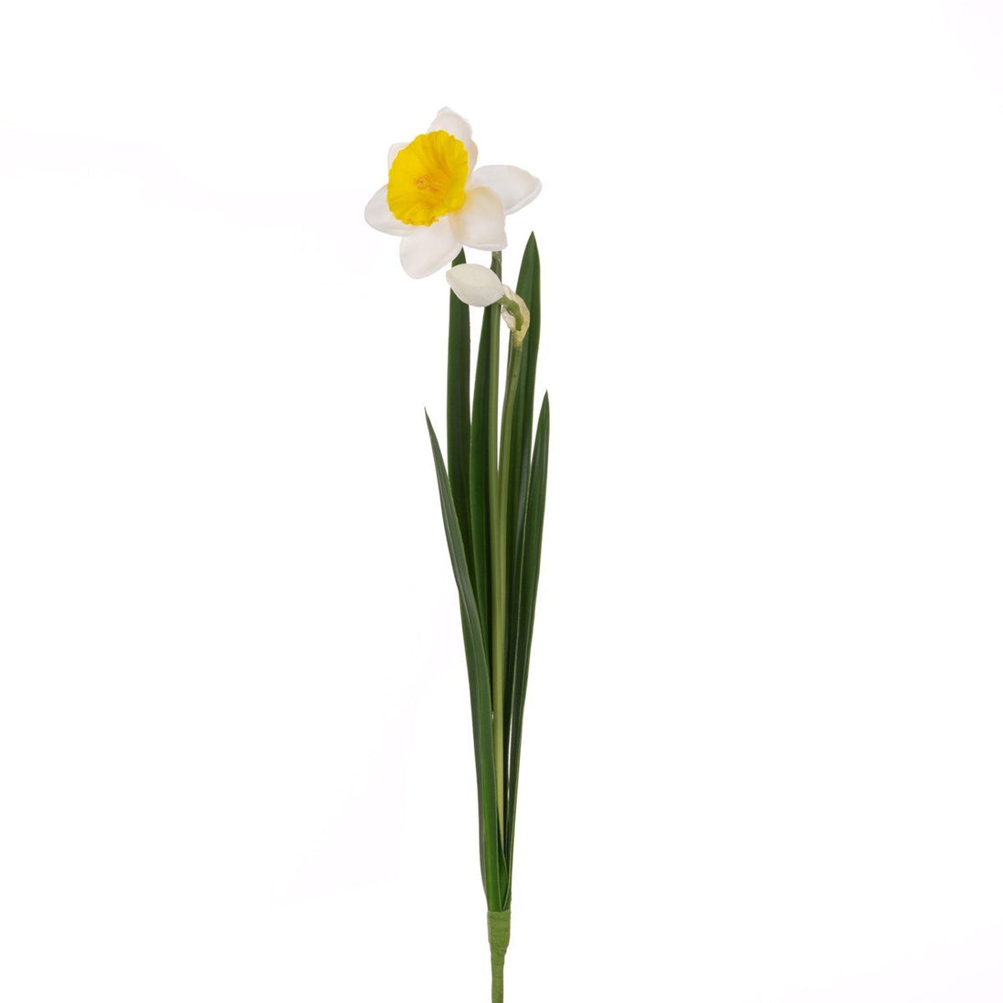Daffodil Stem 51cm/White Yellow - RUTHERFORD & Co