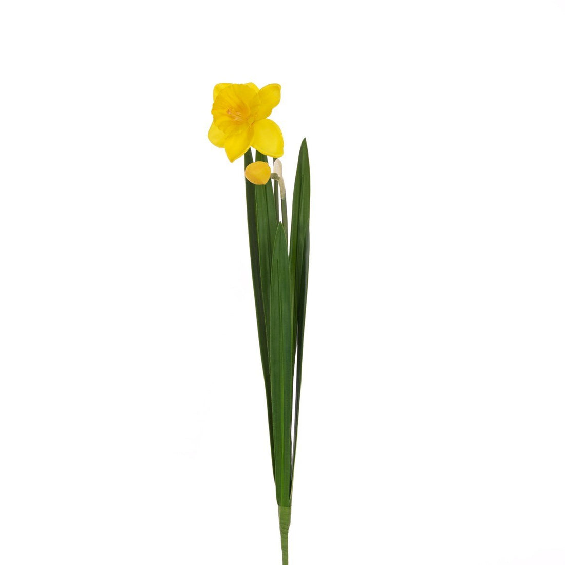 Daffodil Stem 51cm/Yellow - RUTHERFORD & Co