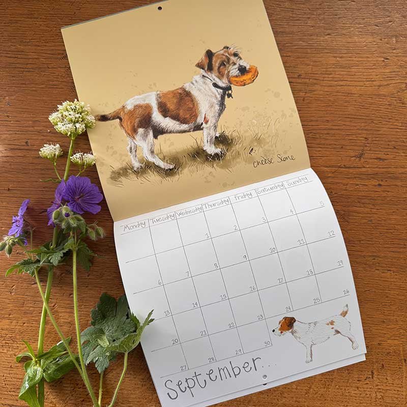 Delightful Dogs 2027 Calendar - RUTHERFORD & Co