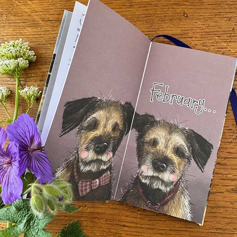 Delightful Dogs Pocket Diary - RUTHERFORD & Co