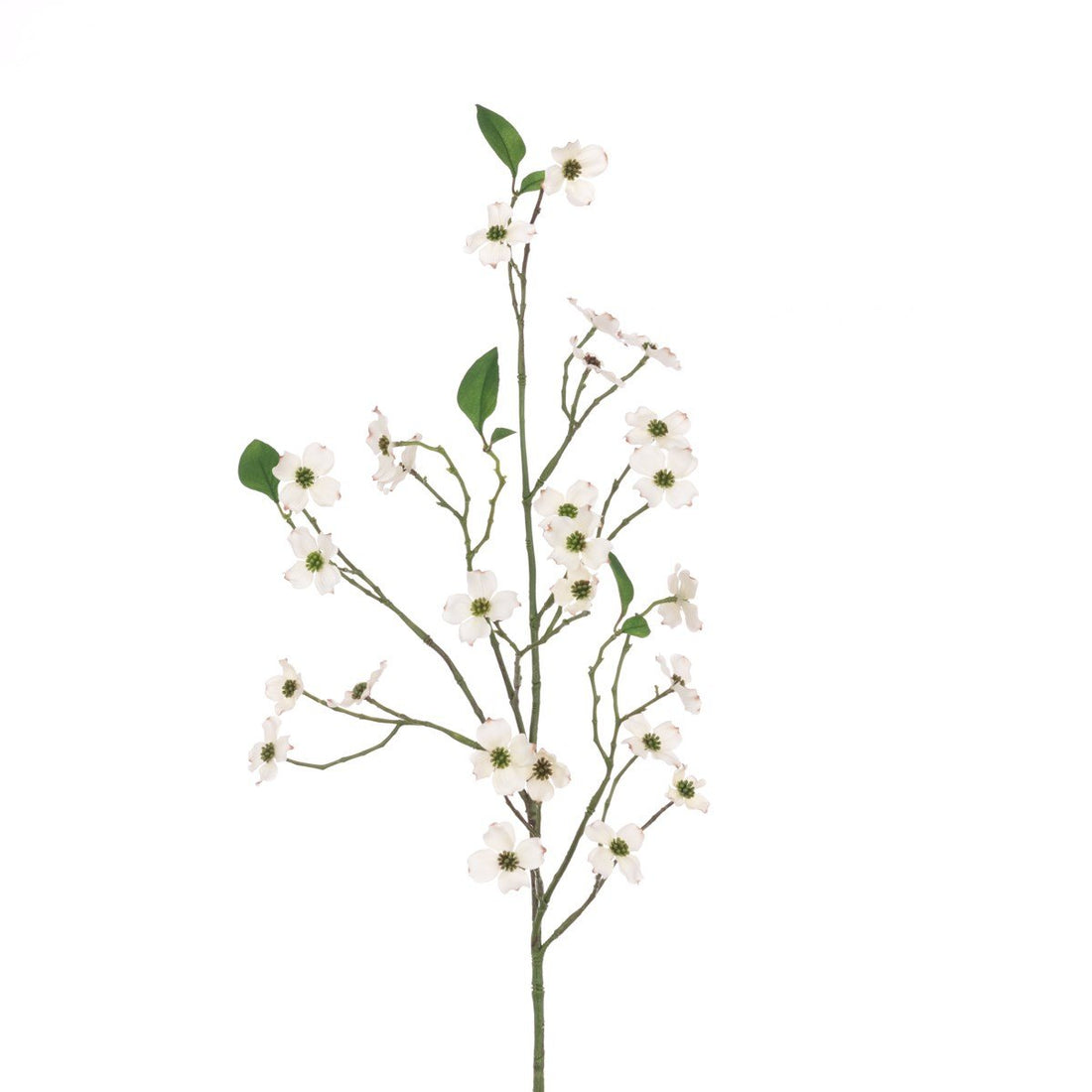 Dogwood Spray 92cm/White - RUTHERFORD & Co
