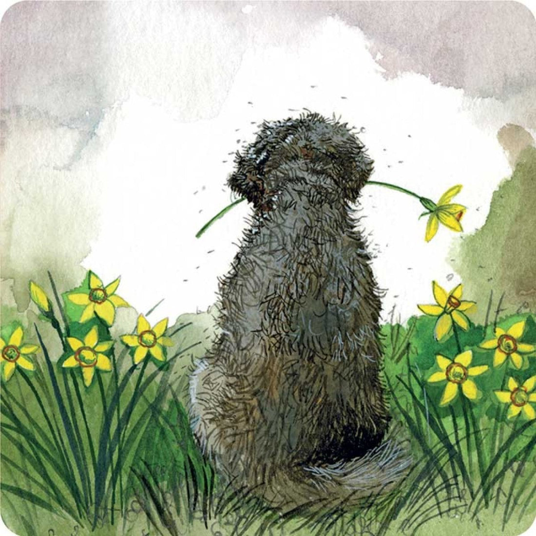 Doodle and Daffodils Coaster - RUTHERFORD & Co