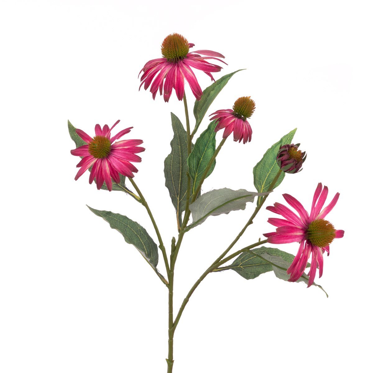 Echinacea Spray 69cm/Yellow - RUTHERFORD & Co