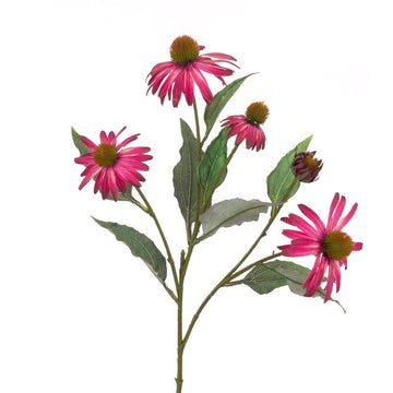 Echinacea Spray 69cm/Yellow - RUTHERFORD & Co