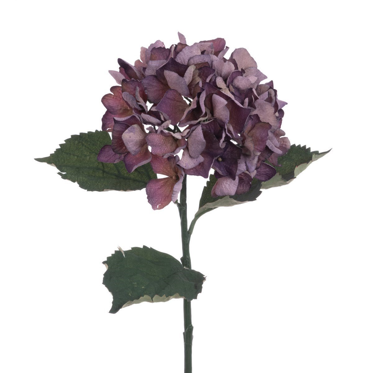 ECO Hydrangea Stem 60cm – Plum - RUTHERFORD & Co