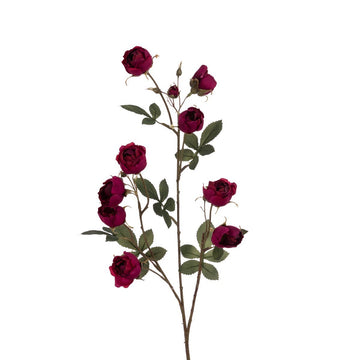 ECO Mini Cabbage Rose Spray 79cm – Beauty - RUTHERFORD & Co