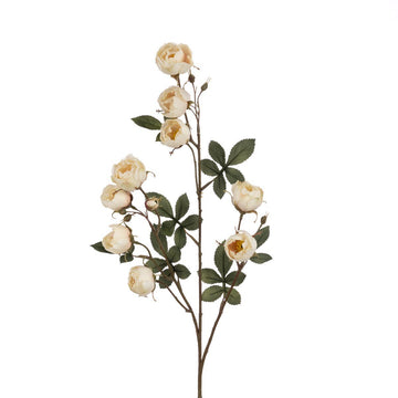 ECO Mini Cabbage Rose Spray 79cm – Cream - RUTHERFORD & Co