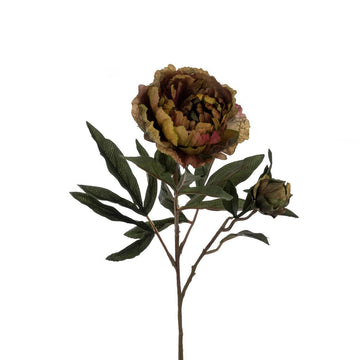 ECO Peony Spray 66cm – Green - RUTHERFORD & Co