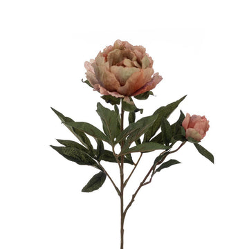 ECO Peony Spray 66cm – Green/Pink - RUTHERFORD & Co