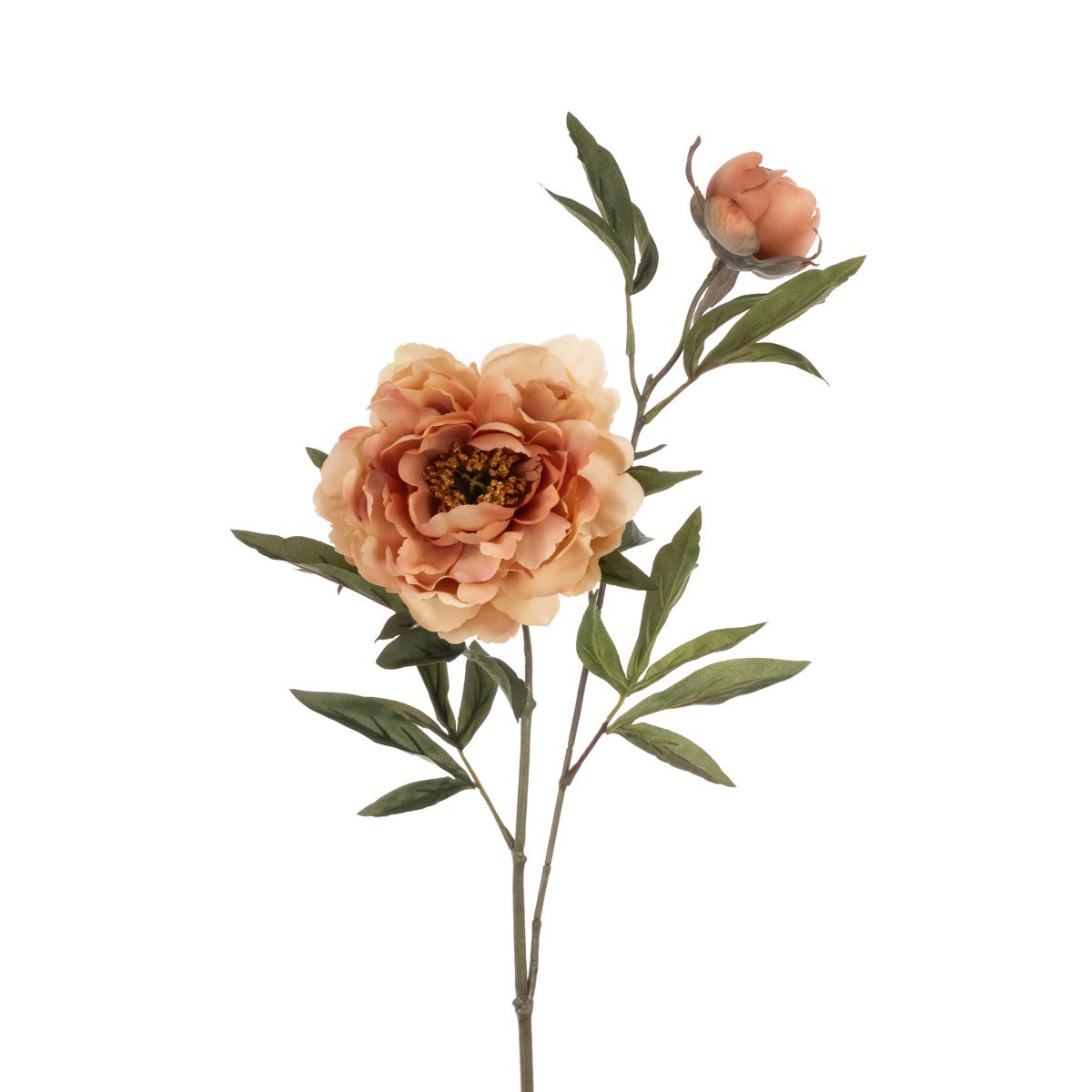 ECO Peony Spray 76cm – Beige - RUTHERFORD & Co