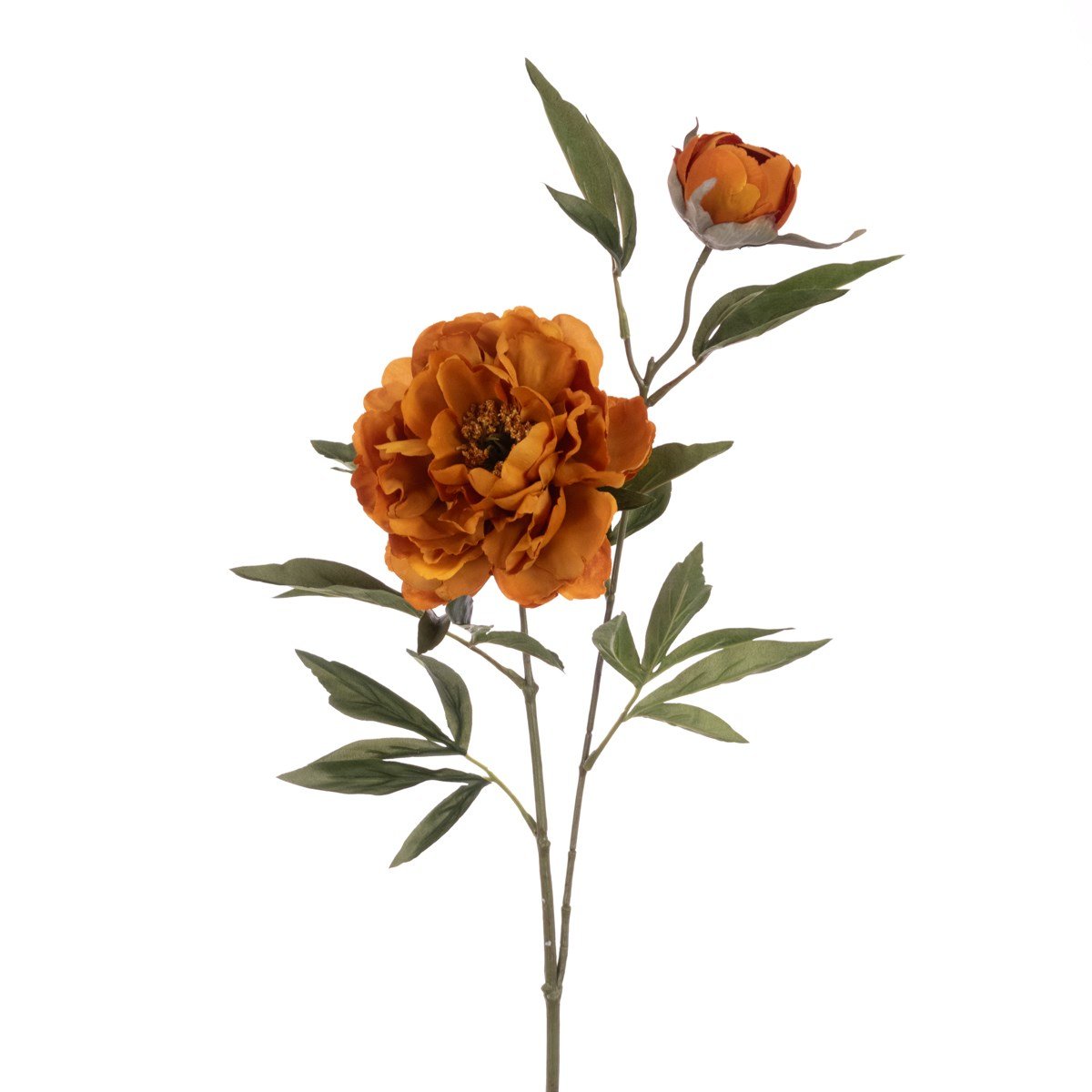 ECO Peony Spray 76cm – Dark Yellow - RUTHERFORD & Co