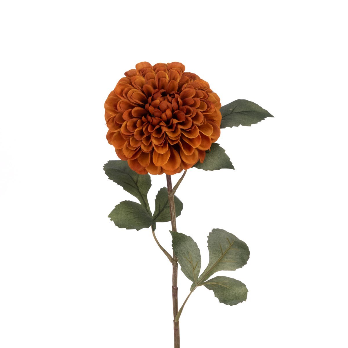 ECO Pom Dahlia Spray 74cm – Rust - RUTHERFORD & Co