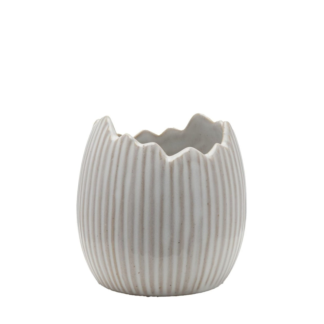 Eggs - traordinary Gifting Ceramic Egg Shell Plant Pot - RUTHERFORD & Co