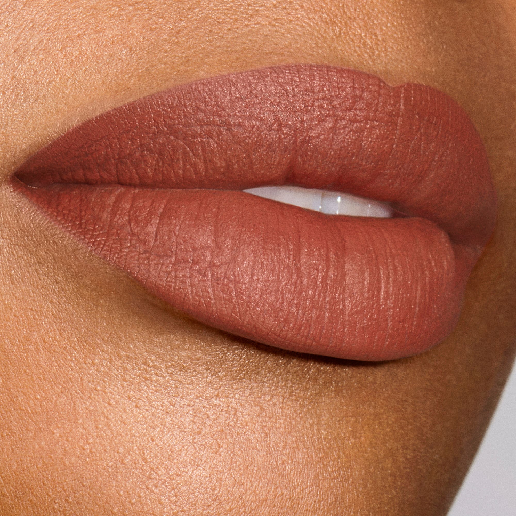 Pure Color Explicit Silk Matte Lipstick