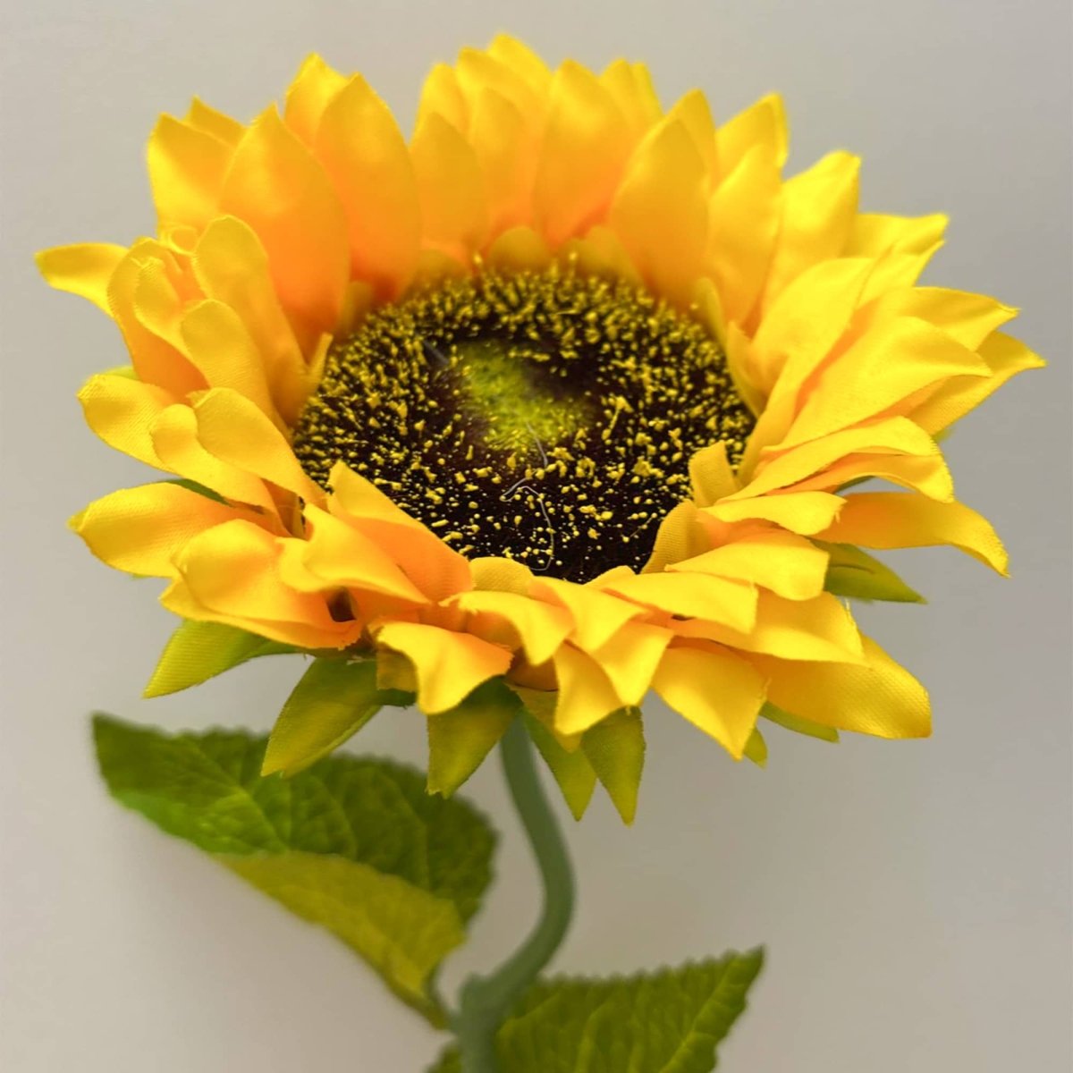 Essential Sunflower Yellow - RUTHERFORD & Co