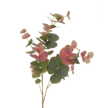 Eucalyptus Blush Spray 90cm - RUTHERFORD & Co