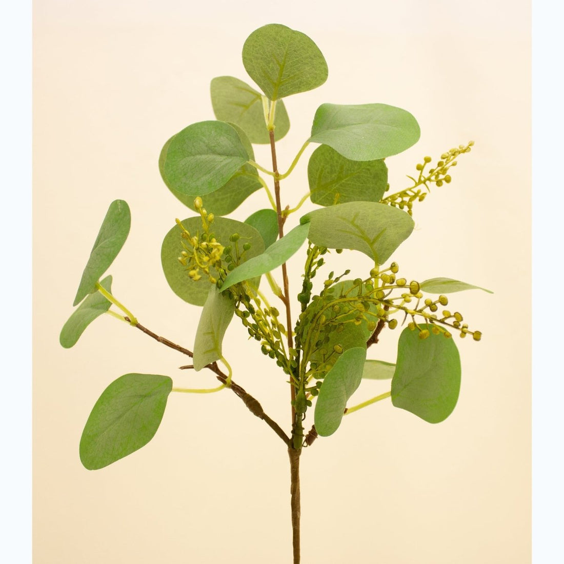 Eucalyptus Pick - RUTHERFORD & Co