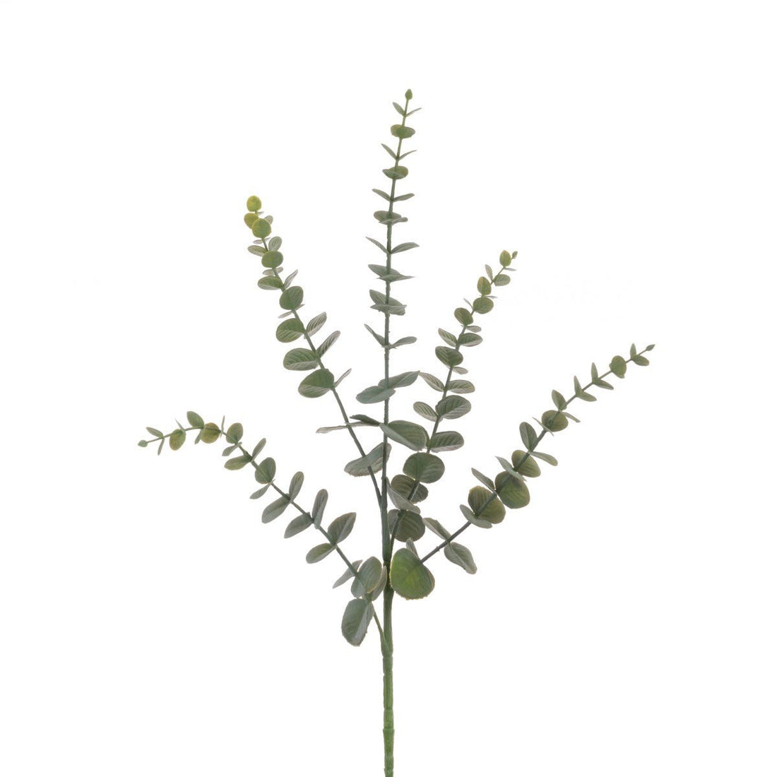 Eucalyptus Spray 75cm/Dark Green - RUTHERFORD & Co