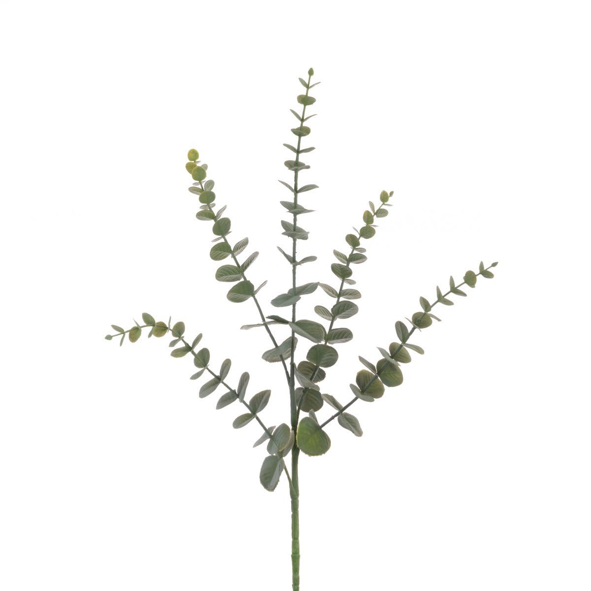 Eucalyptus Spray 75cm/Dark Green - RUTHERFORD & Co