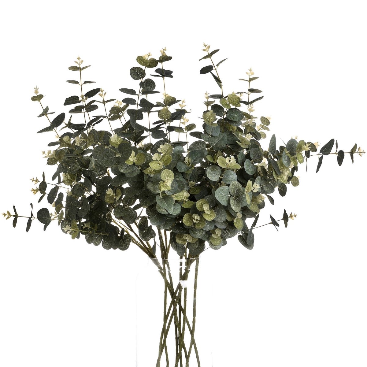 Eucalyptus Spray - RUTHERFORD & Co