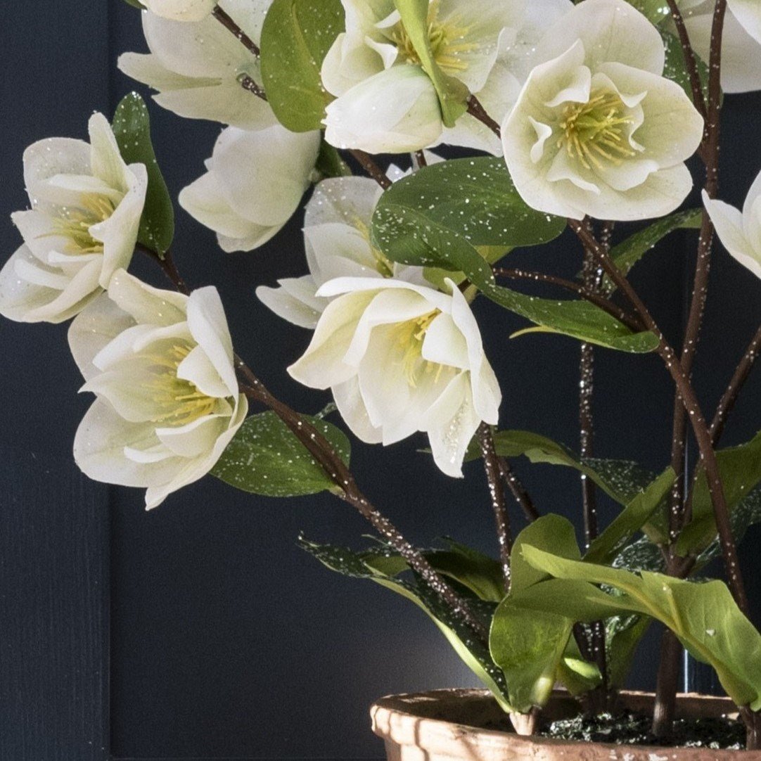 Faux Frosted Hellebore in Ceramic Pot White - RUTHERFORD & Co