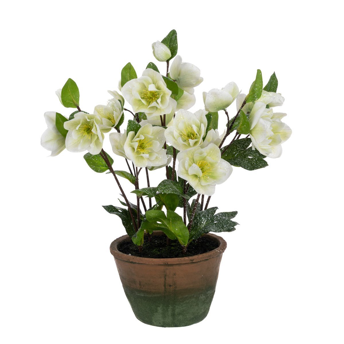 Faux Frosted Hellebore in Ceramic Pot White - RUTHERFORD & Co