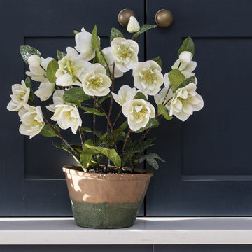 Faux Frosted Hellebore in Ceramic Pot White - RUTHERFORD & Co