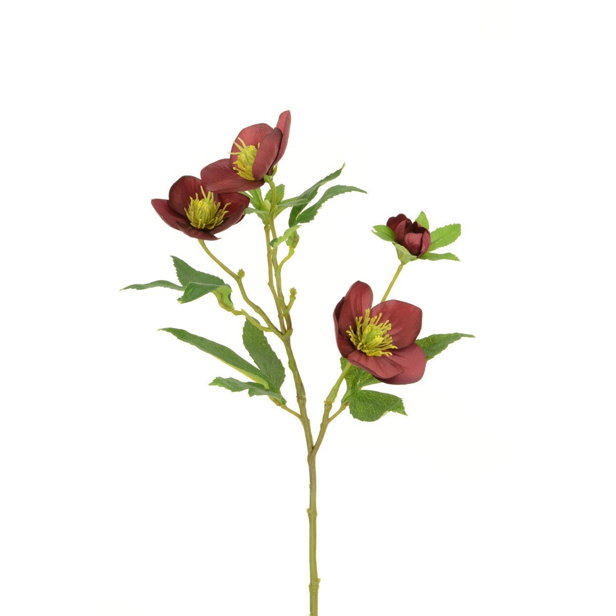 Faux Hellebore Burgundy - RUTHERFORD & Co