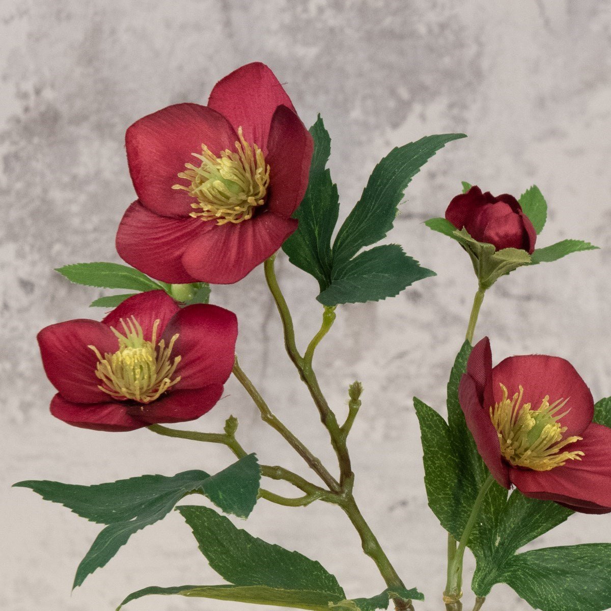 Faux Hellebore Burgundy - RUTHERFORD & Co
